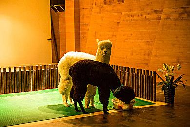 FromSoftware新作《Spellbound》可能泄露 海量首批细节